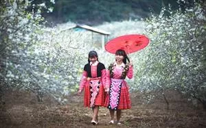 Découvrez des coutumes étranges lors d'un voyage au Vietnam