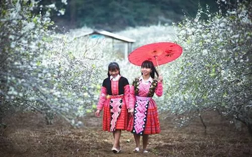 Découvrez des coutumes étranges lors d'un voyage au Vietnam