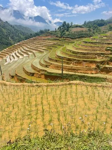 Ha Giang